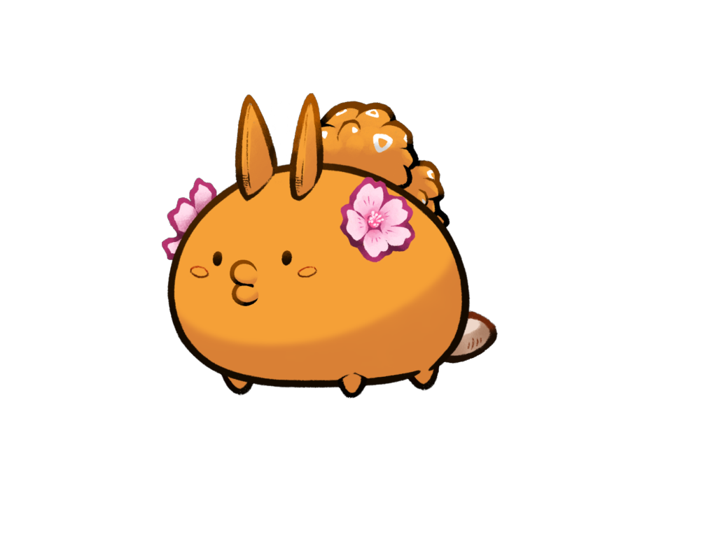 Axie 11070219