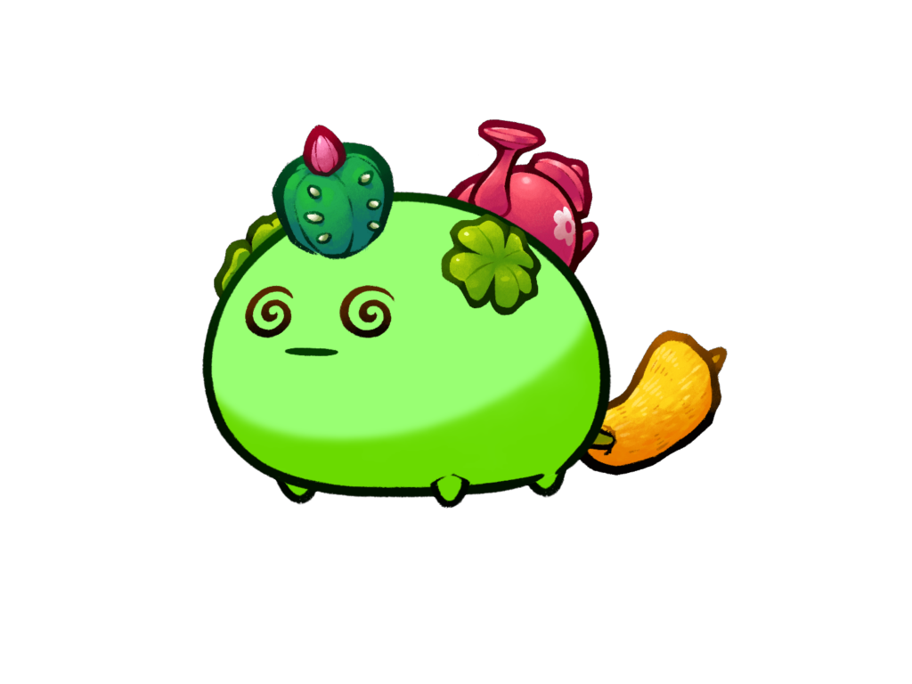 Axie 11072587