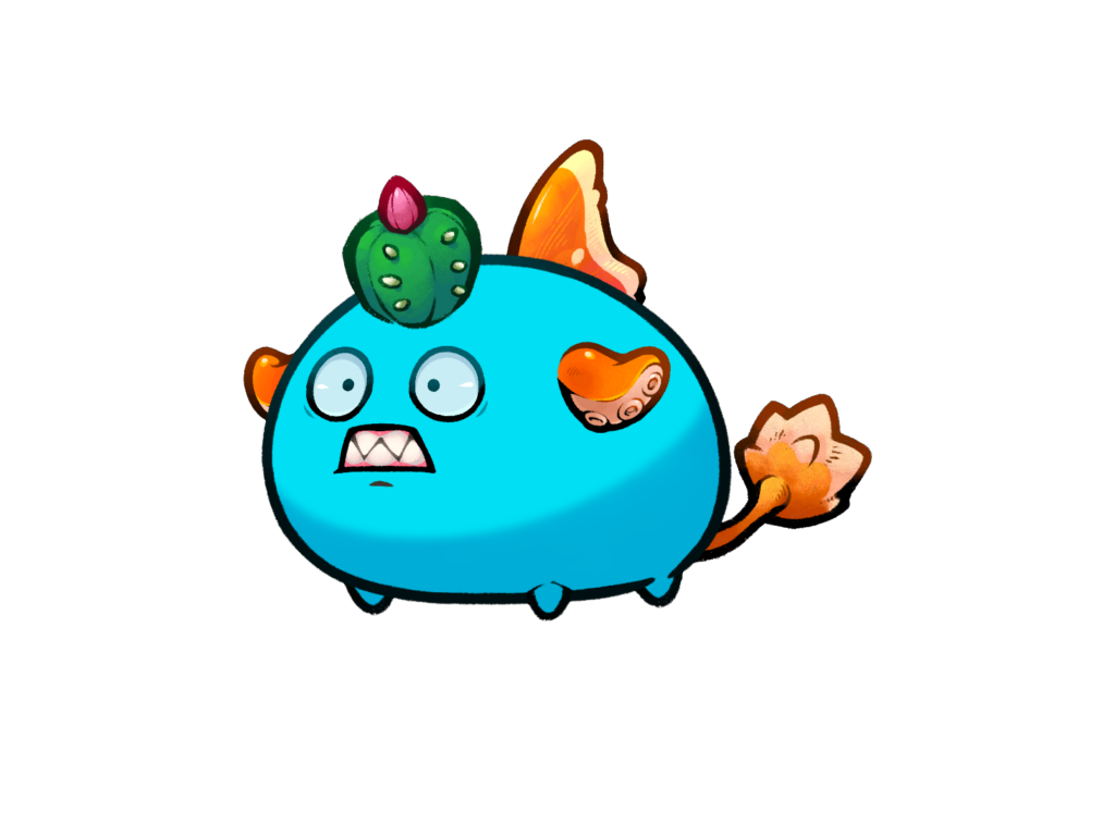 Axie 11539720