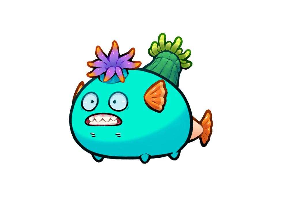 Axie 11899508