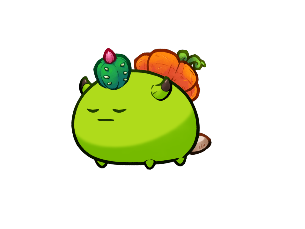 Axie 11997328