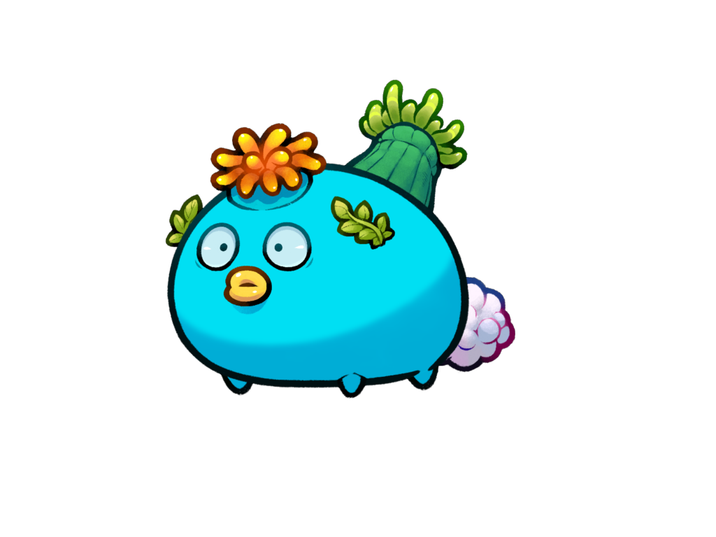 Axie 12072819
