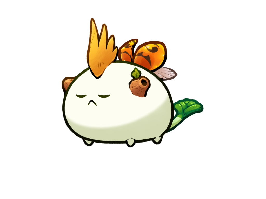 Axie 12077557