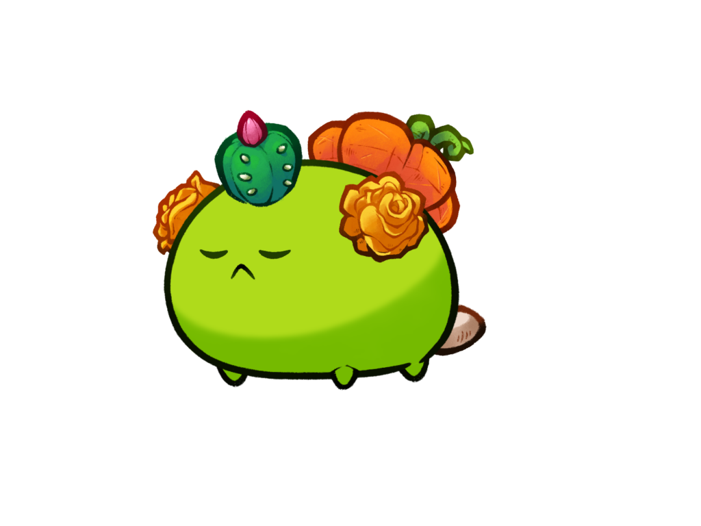 Axie 12091462