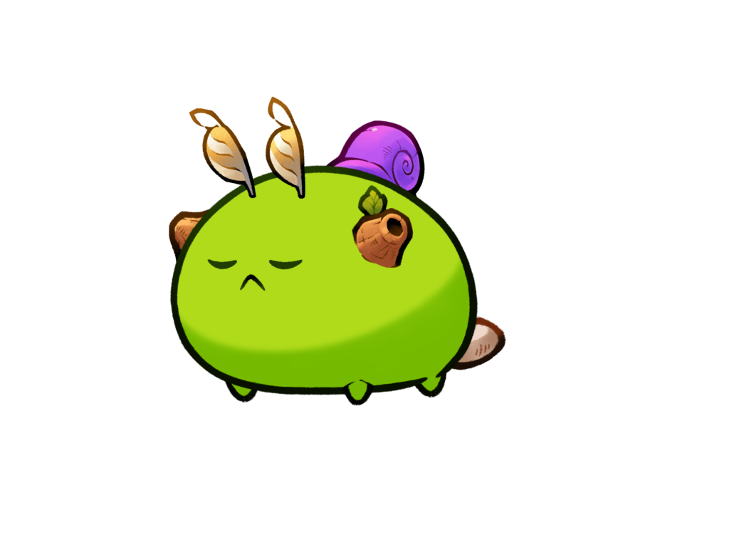 Axie 12147019