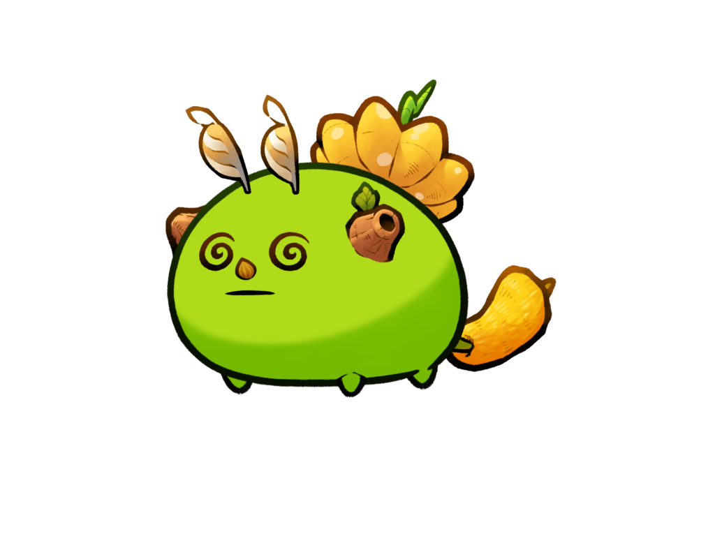 Axie 12166165