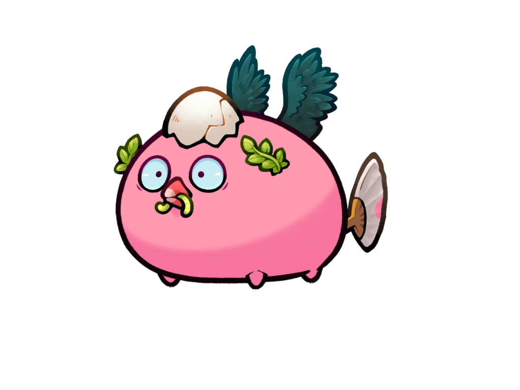Axie 1600234
